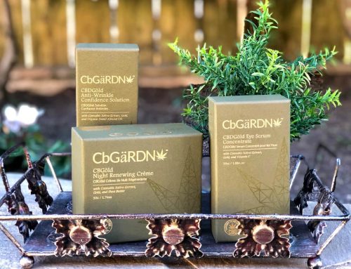 CbGäRDN: Is CBD-Infused Skincare Worth It?