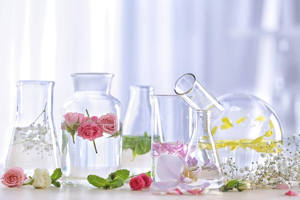 Flowers in test tubes